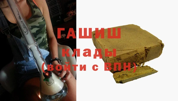 индика Зерноград