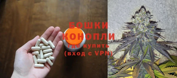 индика Зерноград